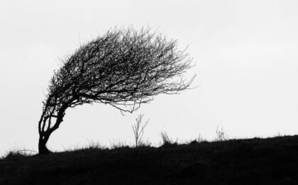 Comprendre la source de l'anxiété