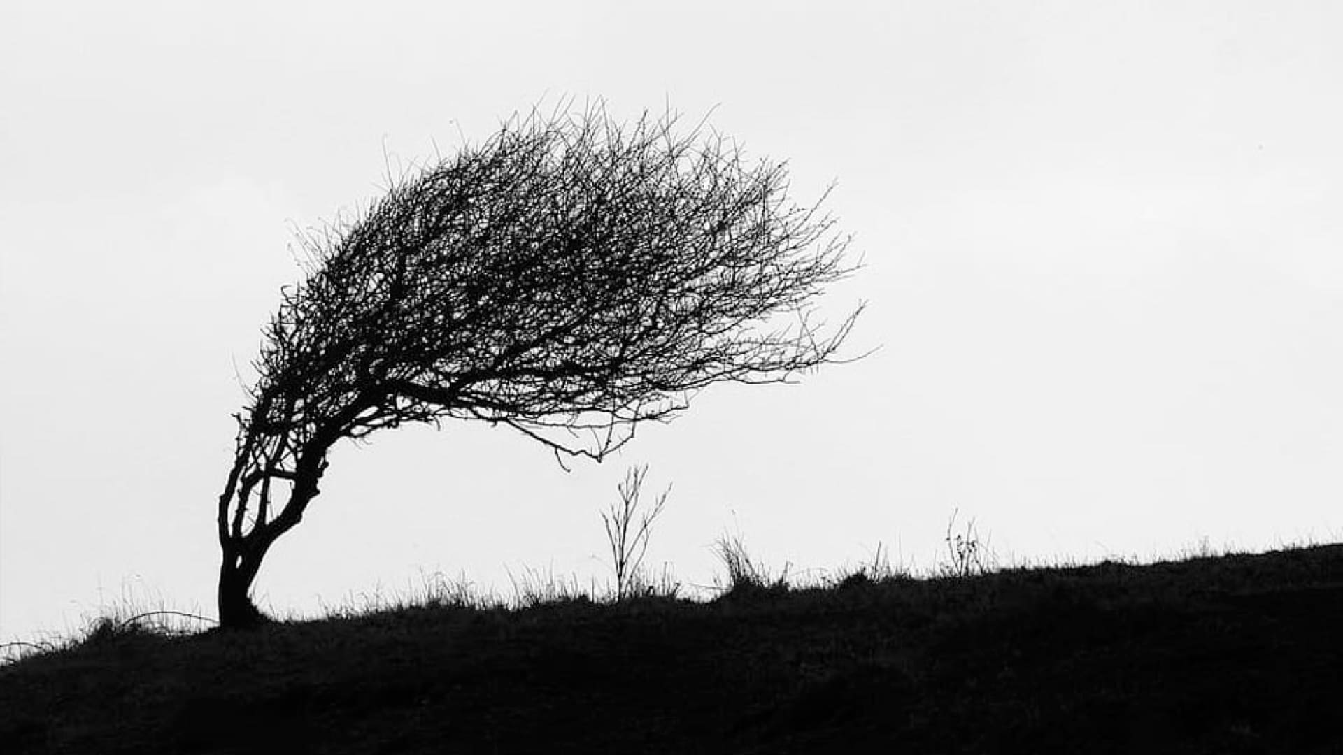 Origines de l’anxiété : Comment les identifier ?