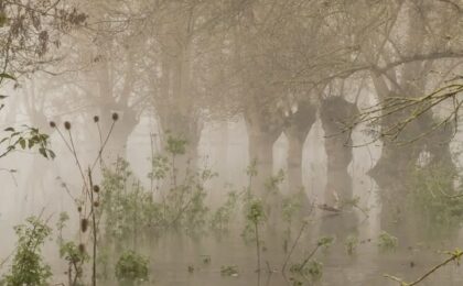 Pourquoi je fais des crises d'angoisses le matin